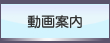 動画案内